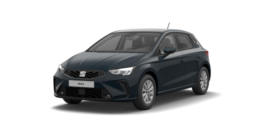 SEAT Ibiza 5ª serie