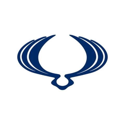 SSANGYONG